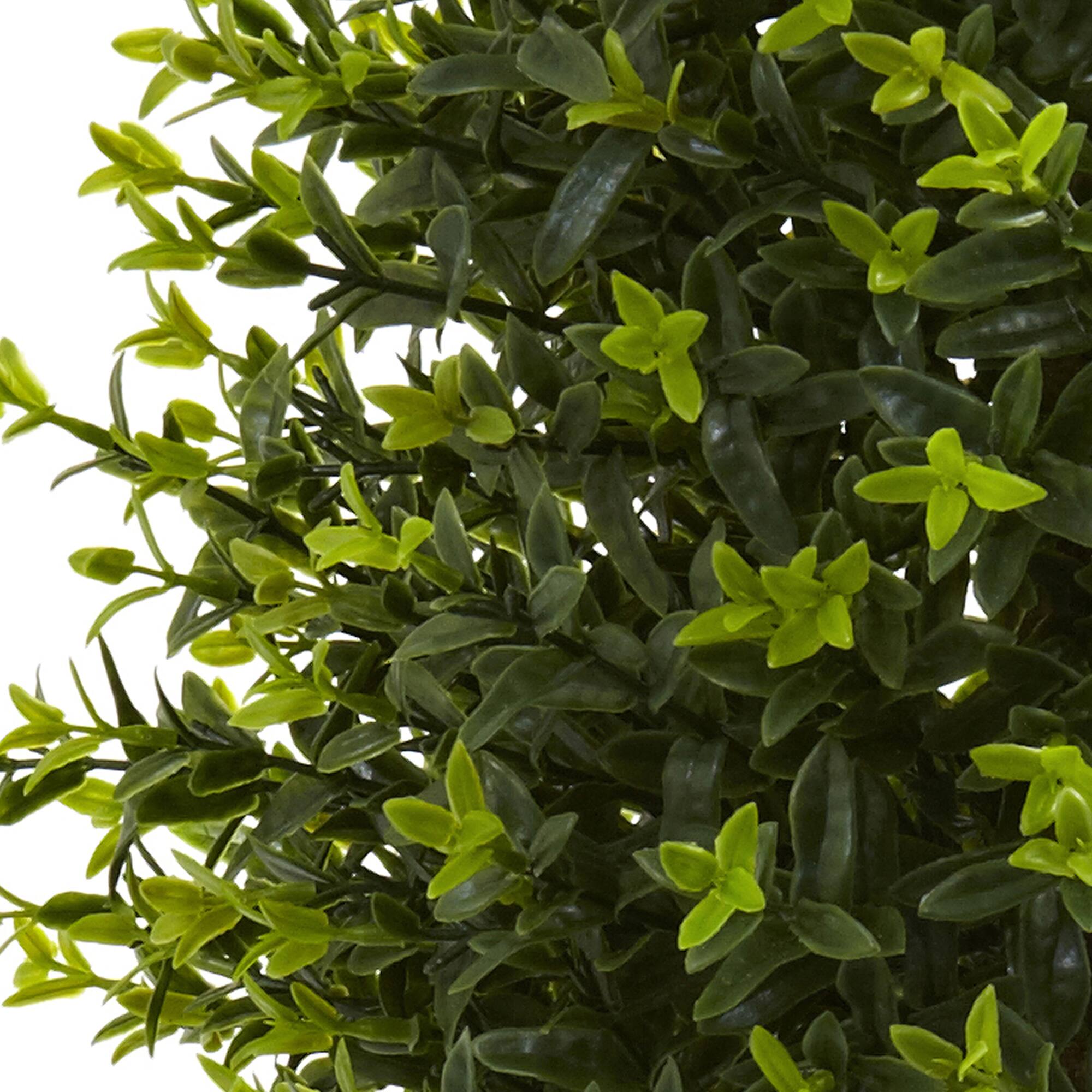 3ft. Potted Ixora Topiary